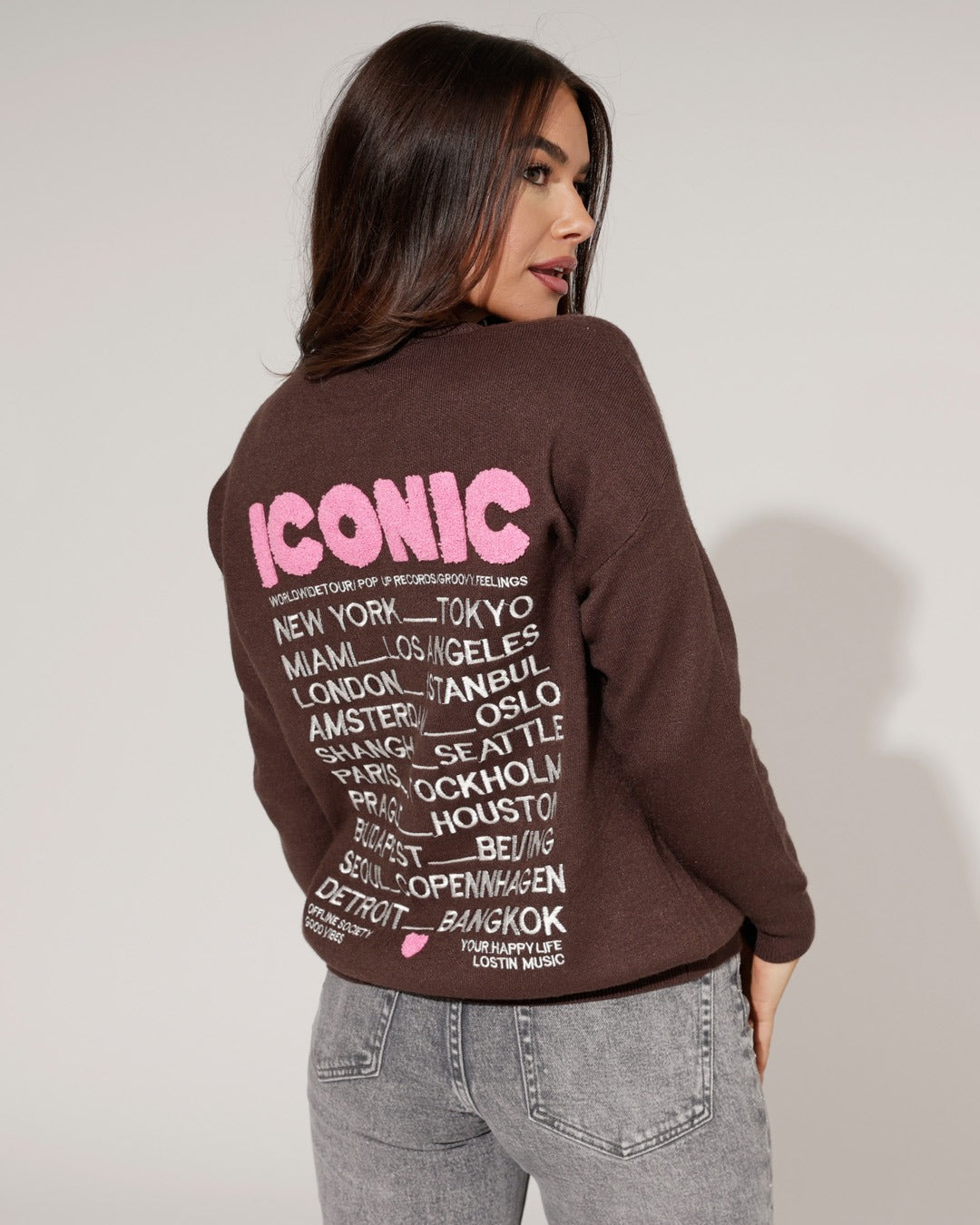 Trui Iconic Bruin